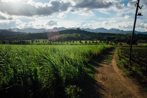 philippines farmland