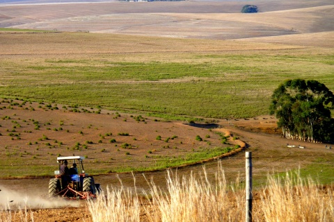 Ploughing The Fields of Fall - Western Cape - South Africa_photo by Christopher Griner_FLICKR creative commons